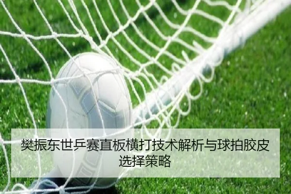 樊振东世乒赛直板横打技术解析与球拍胶皮选择策略