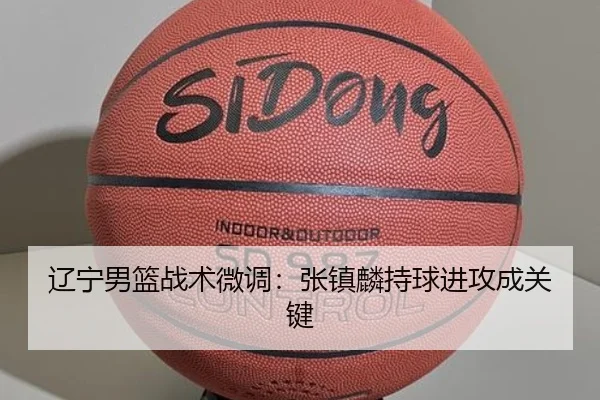 liao-ning-nan-lan-zhan-shu-wei-diao-zhang-zhen-lin-chi-qiu-jin-gong-cheng-guan-jian-3-288.jpg