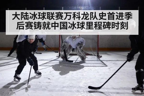 大陆冰球联赛万科龙队史首进季后赛铸就中国冰球里程碑时刻