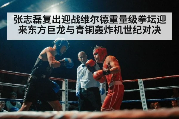 boxing match crowd